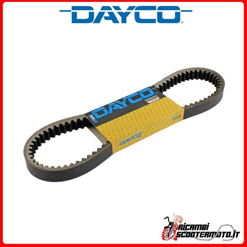 Cinghia trasmissione dayco - trasmissione,