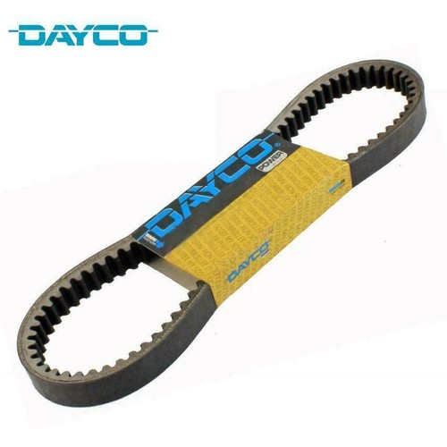 Dayco cinghia trasmissione per - cinghia,