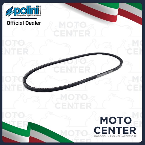 Cinghia trasmissione polini - cinghia,